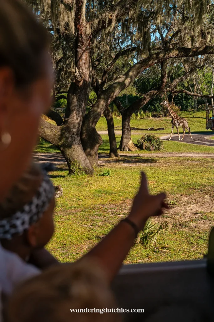 Moeder en kind wijzen naar een giraffe tijdens een safari in Disney’s Animal Kingdom, met een prachtig savannelandschap op de achtergrond.