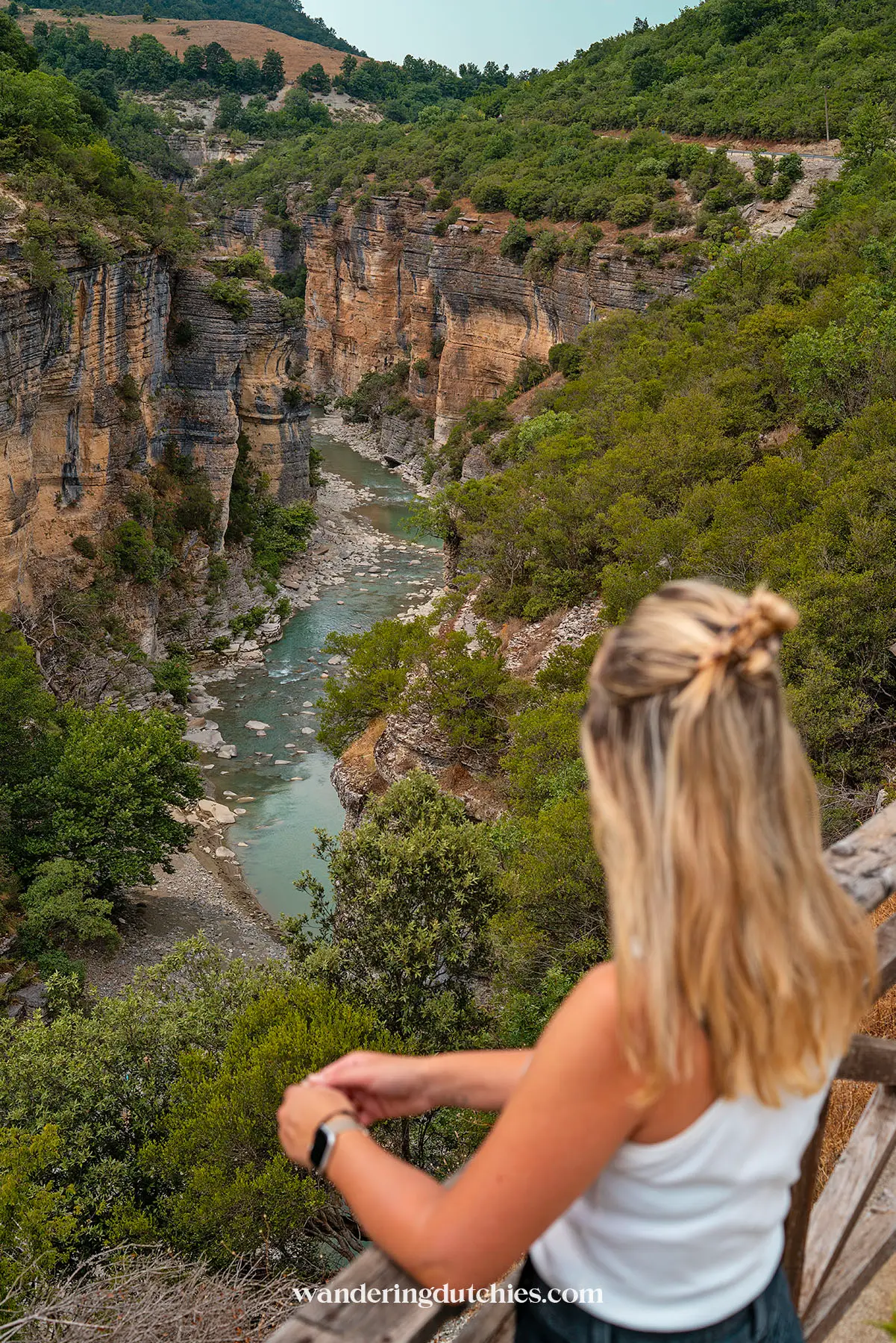 Uitzicht op Osumi Canyon met kronkelende rivier en omringende groene heuvels.