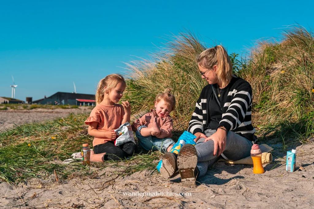 Een moeder en twee jonge kinderen genieten van een picknick op het Amager Strand in Kopenhagen, met gras en blauwe lucht op de achtergrond.