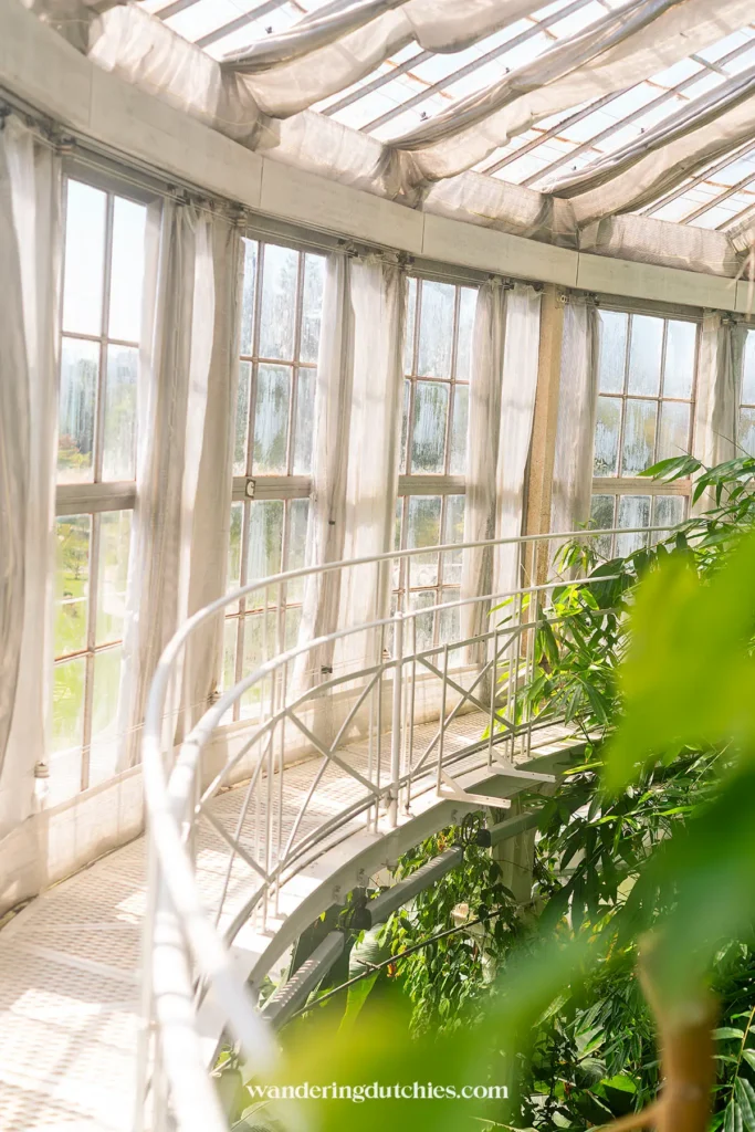 Zonlicht stroomt door de grote ramen van de glazen serre in Botanisk Have, Kopenhagen.
