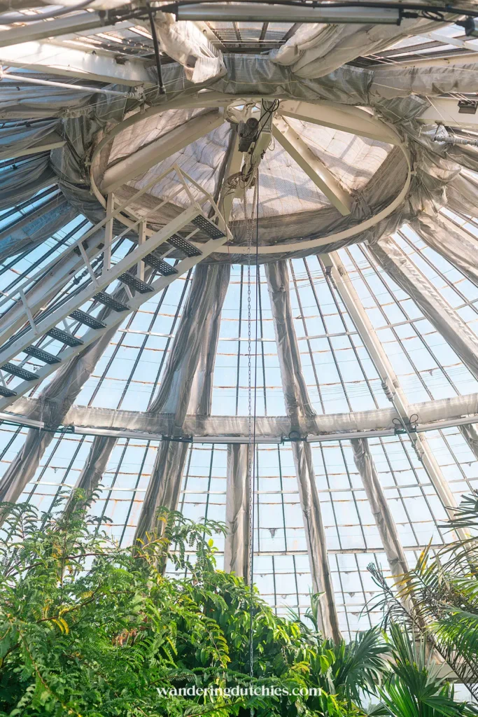 Het interieur van de grote serre met een wenteltrap in Botanisk Have.