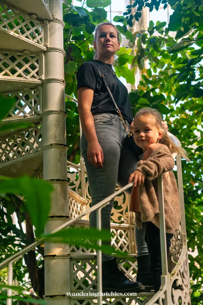 Moeder en kind op een wenteltrap in de kas van Botanisk Have, omgeven door tropische planten.