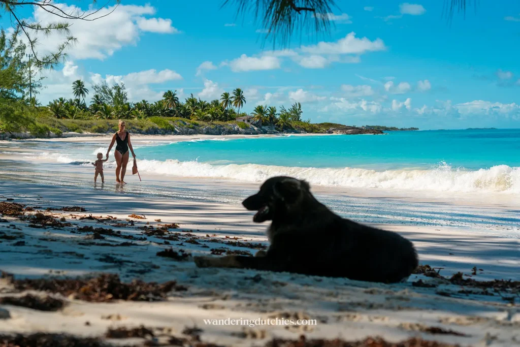 Mother and child walk along a white sand beach in Exuma, Bahamas, with clear blue water and palm trees in the background. Dog rests in the shade on the beach. 