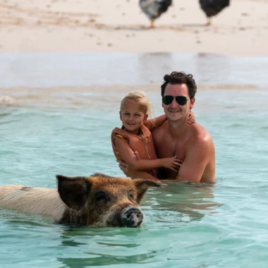 Vader en kind zwemmen met een varken op White Bay Cay, Bahama’s. Zwemmen met de beroemde zwemmende varkens van de Bahama’s is een unieke ervaring voor het hele gezin.