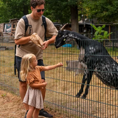 Vader en dochter voeren een geit bij kinderboerderij Schutterspark in Brunssum, Limburg.