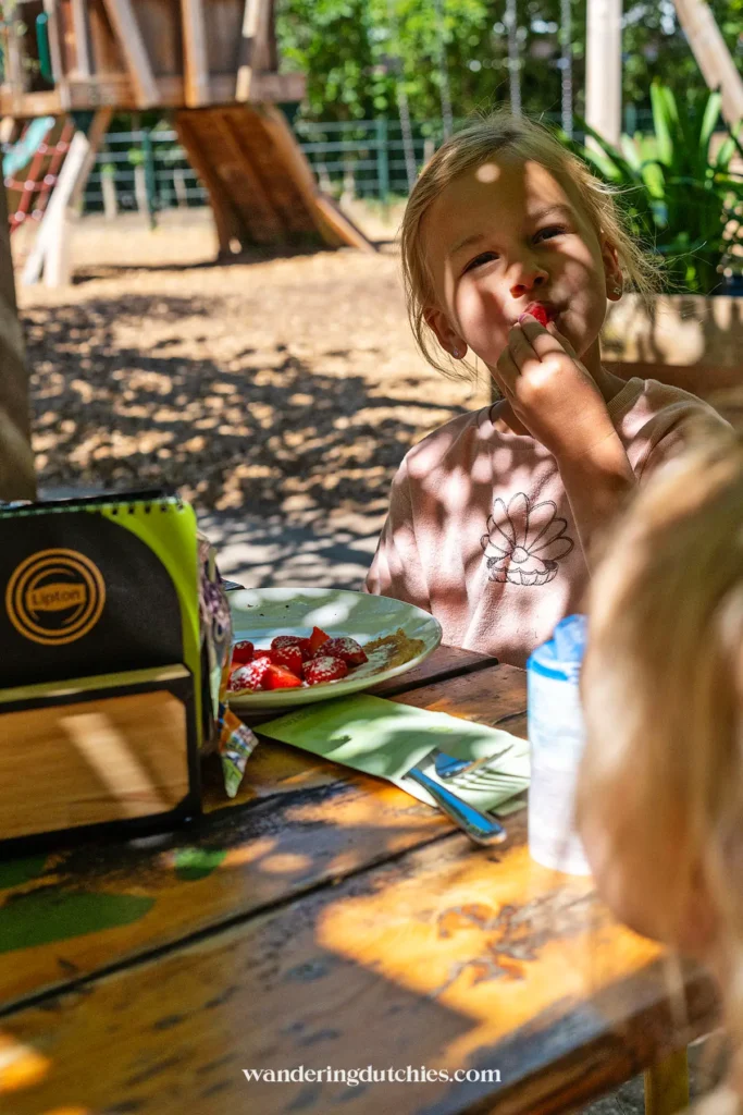 Kind eet aardbeienpannenkoek op het terras van kinderboerderij Daalhoeve in Maastricht