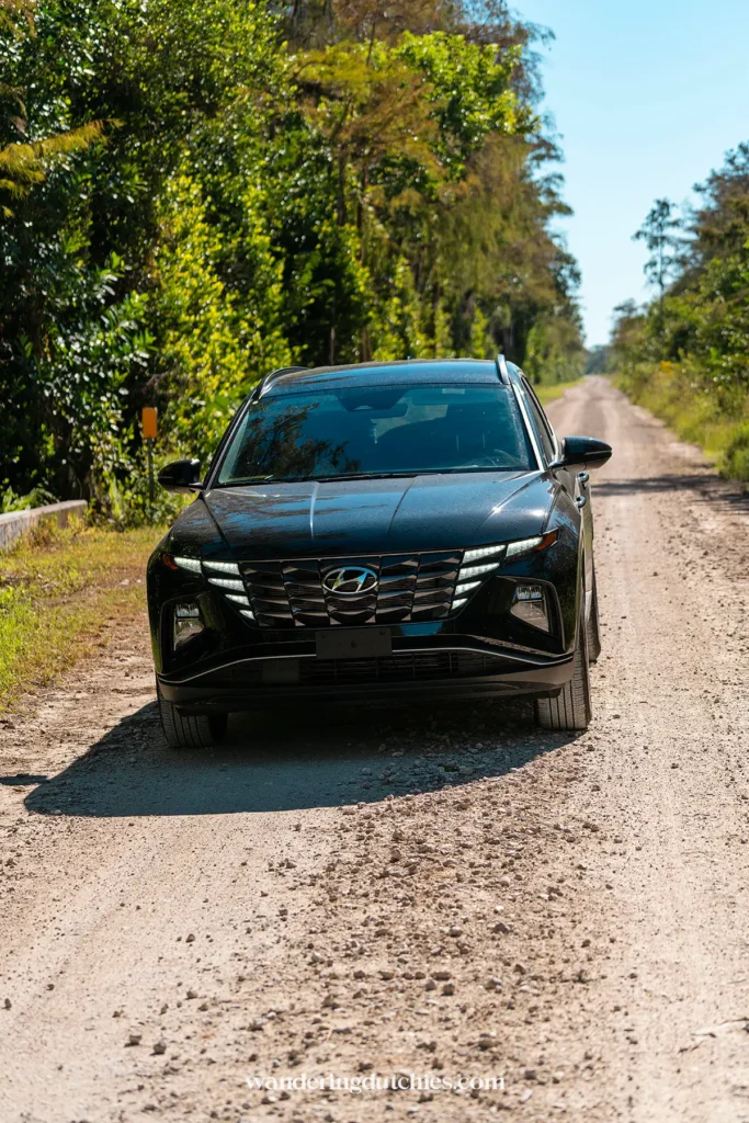 Zwarte SUV op de onverharde Loop Road Scenic Drive in de Everglades, Florida