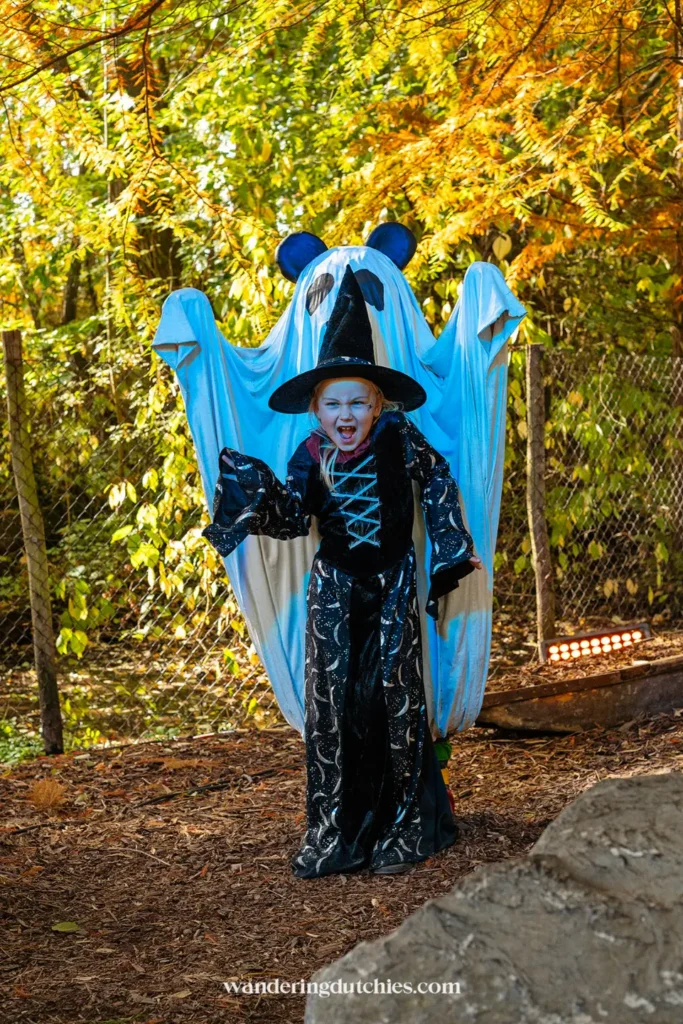 Kind verkleed als heks poseert bij spookdecoratie in Pairi Daiza tijdens Halloween.