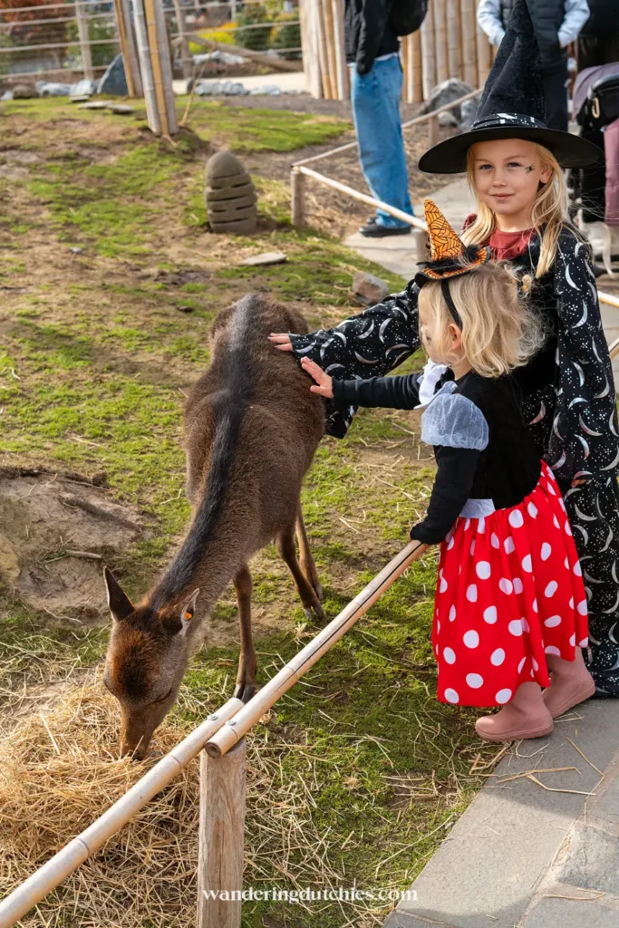 Kinderen verkleed als heks en Minnie Mouse aaien hertje in Pairi Daiza met kinderen.