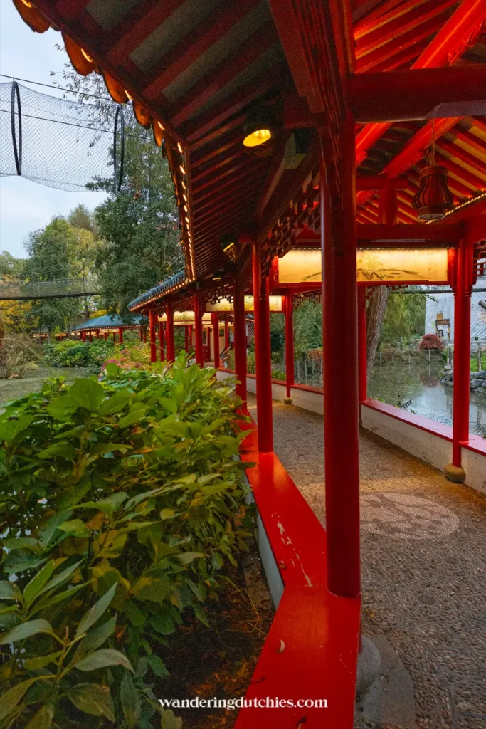 Rode Chinese wandelgang in Pairi Daiza bij schemering