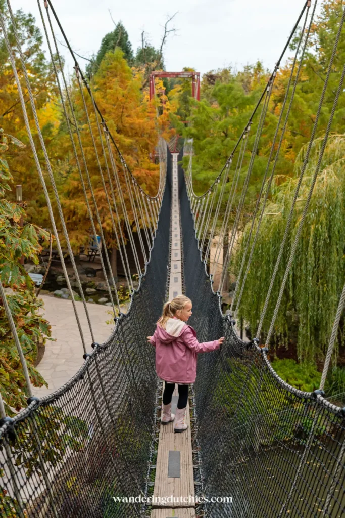 Kind loopt over een hangbrug tussen herfstkleuren in Pairi Daiza