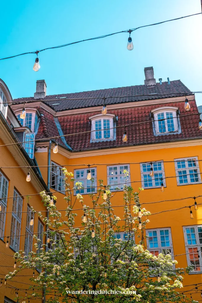 Gele gevel met bloesembomen en hangende lichtjes in het centrum van Kopenhagen