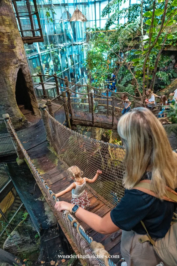 Moeder en dochter lopen over touwbrug in de regenwoudhal van Universeum Göteborg.
