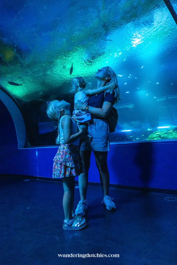 Gezin kijkt omhoog in het aquarium van Universeum Göteborg met vissen boven hun hoofd.