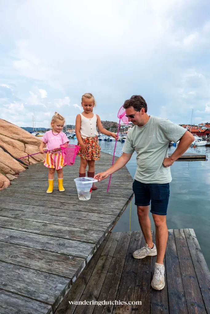 Vader met twee kinderen vangt krabbetjes met een netje aan de houten steiger in Bovallstrand, Zweden.