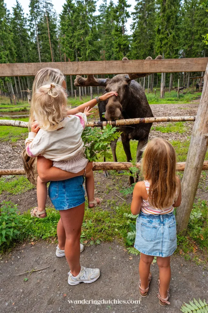 Moeder en kinderen aaien en voeren een eland bij Dalslands Moose Ranch in Zweden tijdens een roadtrip met kinderen