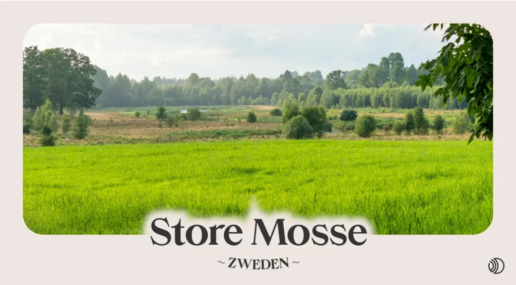 Groen natuurgebied bij Store Mosse met open velden, bomen en een rustig uitzicht