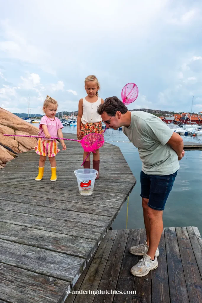 Kinderen vangen krabbetjes met schepnet op houten steiger in haven van de Zweedse westkust