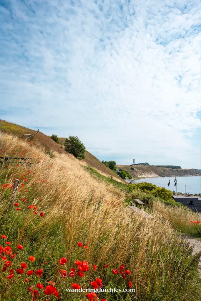 Uitzicht over de kust bij Ales Stenar in Zuid-Zweden met klaprozen en heuvels