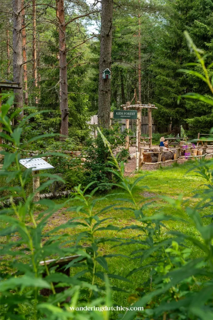 Natuurlijke speelplek Kids Forest in het bos bij Dalslands Moose Ranch met houten klimtoestellen tussen hoge dennenbomen