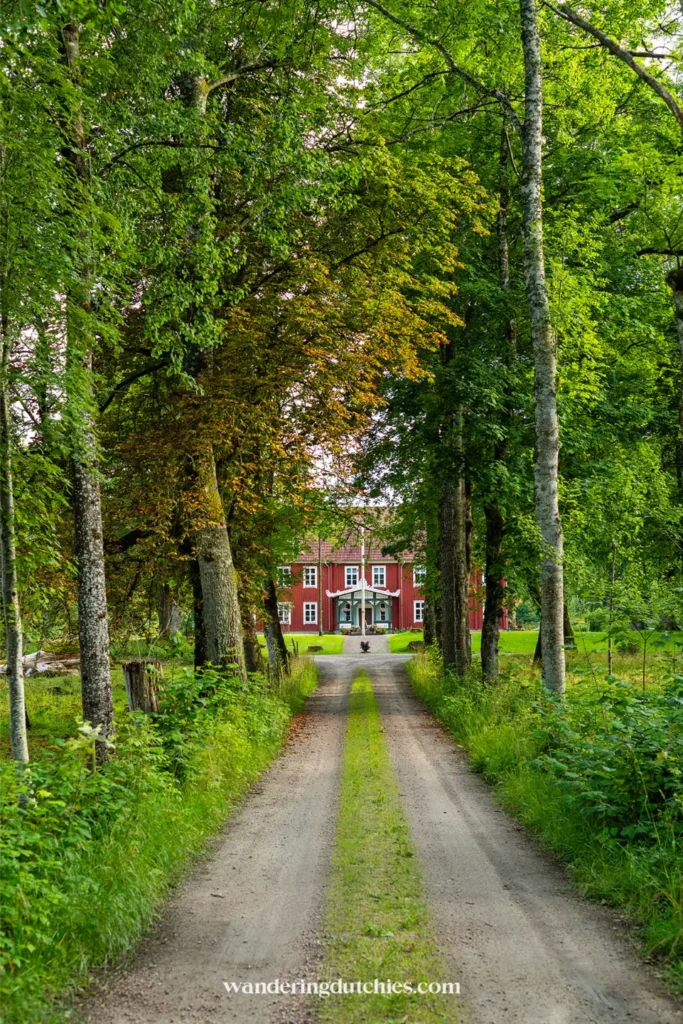 Lange oprijlaan met bomen leidt naar een rood Zweeds landhuis in natuurgebied Store Mosse