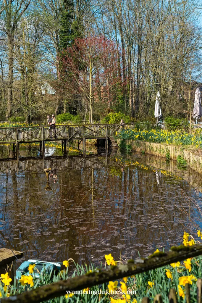 Houten brug over water met bloemen in bloei in Tongeren-Borgloon, België.