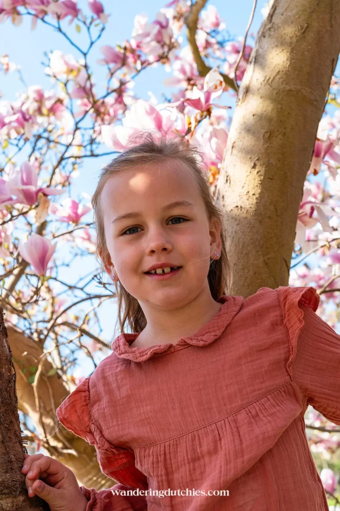 Kind onder roze bloesemboom in Borgloon tijdens lente in Belgisch Limburg.