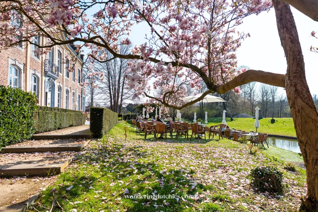 Terras van château met bloesembomen en uitzicht op tuin in Borgloon, België.
