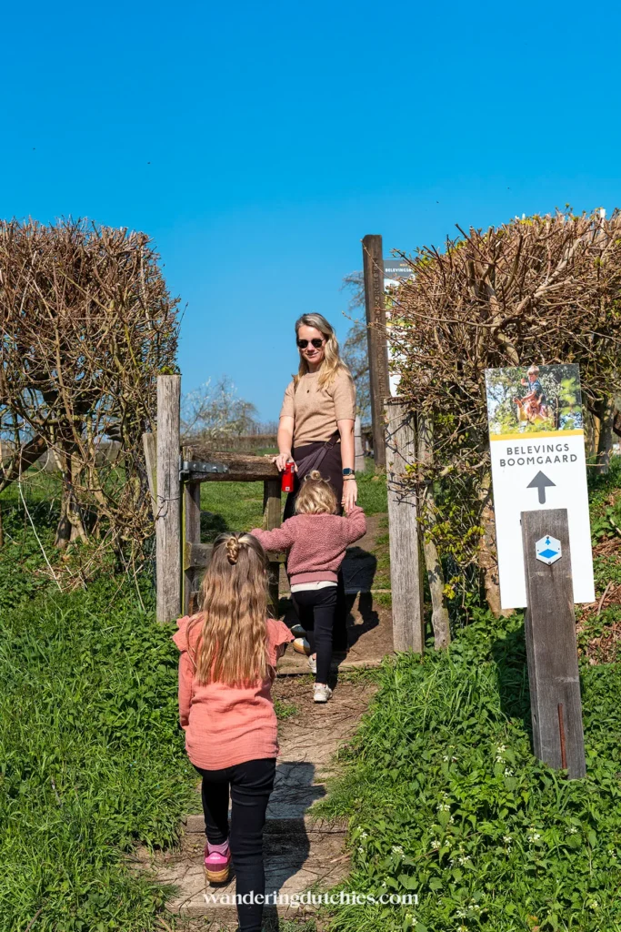 Gezin wandelt richting de Belevingsboomgaard in Borgloon.