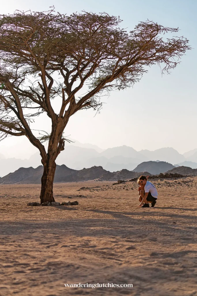 Vader met kind onder een boom in de uitgestrekte woestijn.