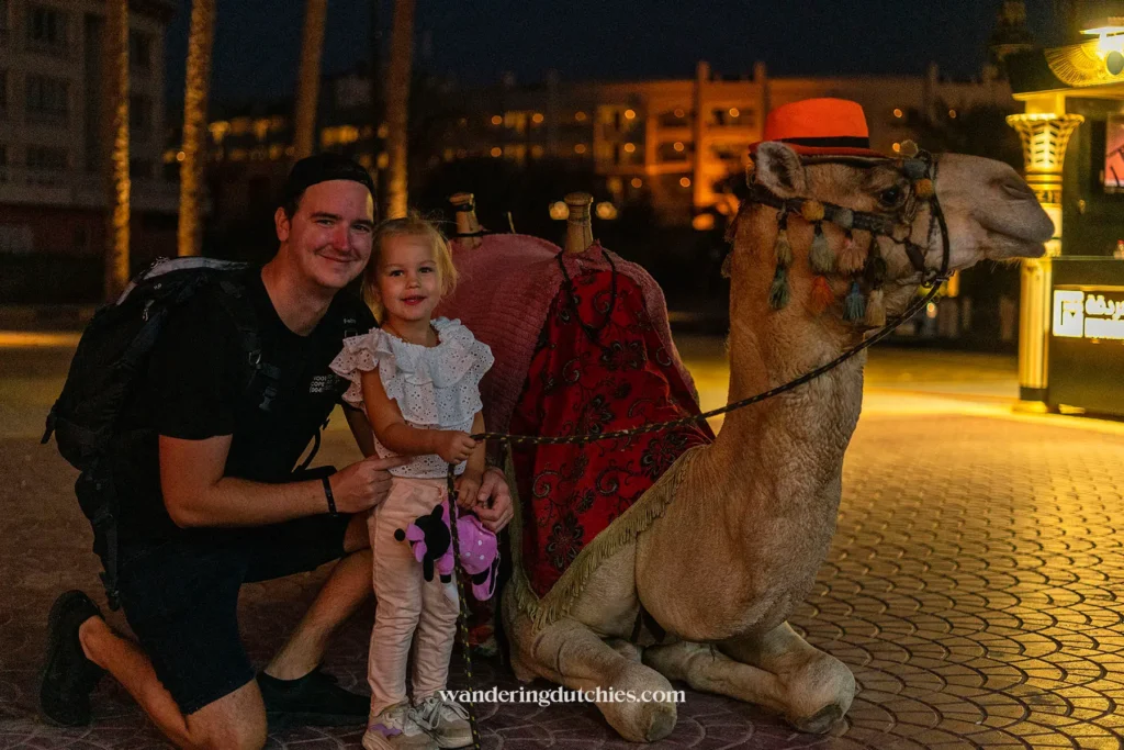 Vader en kind poseren bij een kameel in de avond in Hurghada.