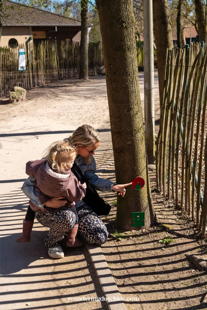 Mother and child searching for gnome tracks along a forest path at Domein Pietersheim in Lanaken.