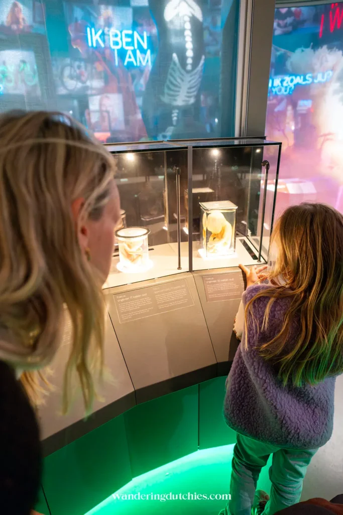 Nina bekijkt een tentoonstelling over het menselijk lichaam in NEMO Science Museum in Amsterdam